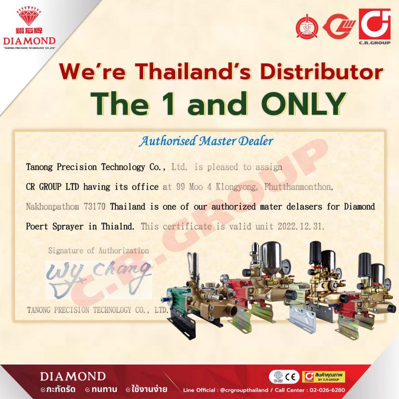 DIAMOND We're Thailand Distributor 